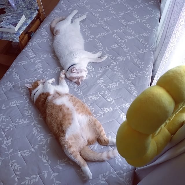 NOAHさんの部屋
