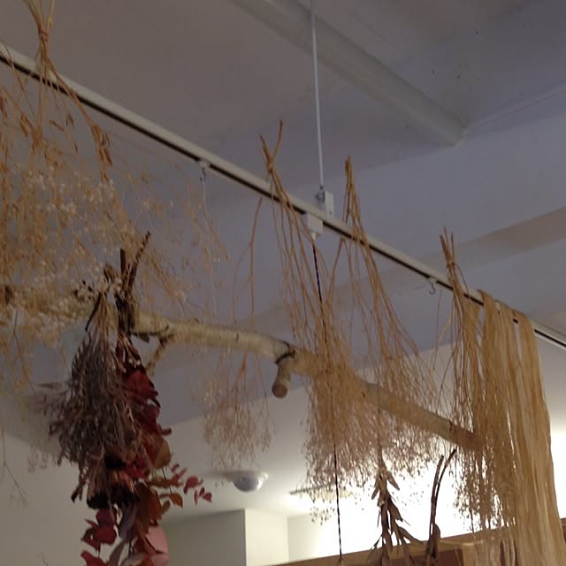 壁/天井/植物のインテリア実例 - 2013-12-26 12:27:22