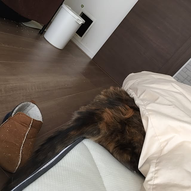 mikomaruさんの実例写真