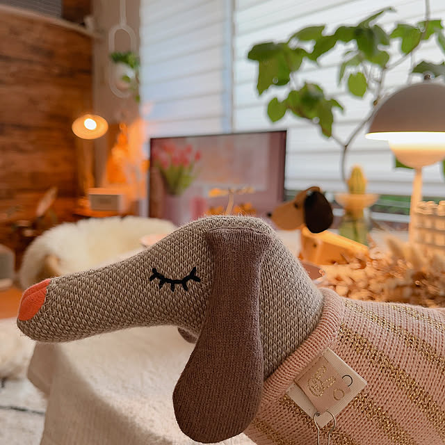 n.kiki.aさんの部屋