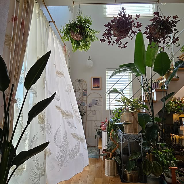 nonbiri_house_さんの実例写真