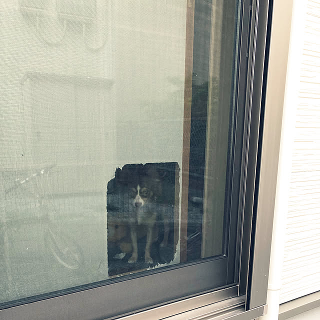 chocoさんの実例写真