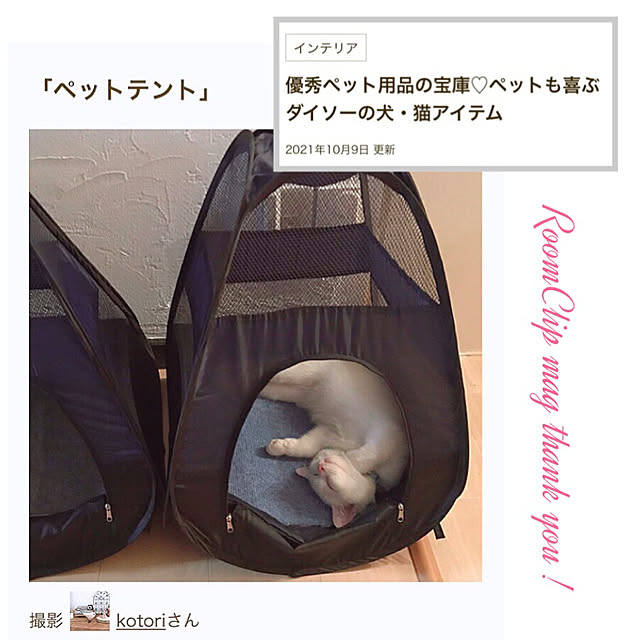 kotoriさんの実例写真