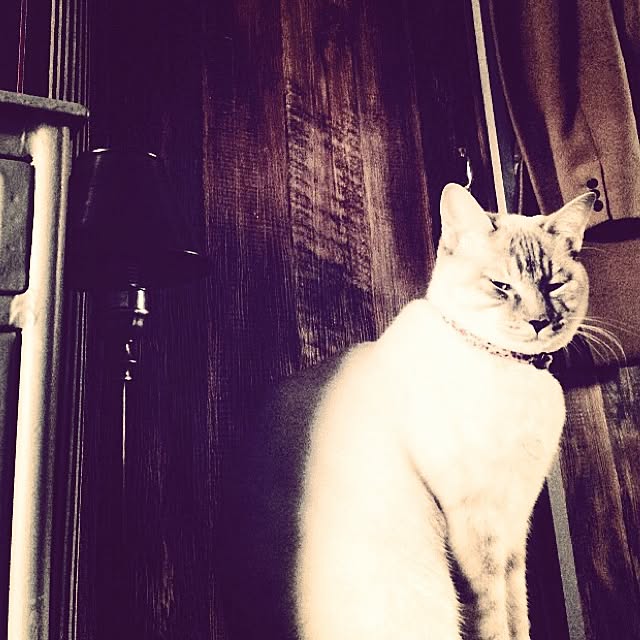 Naoki.さんの実例写真