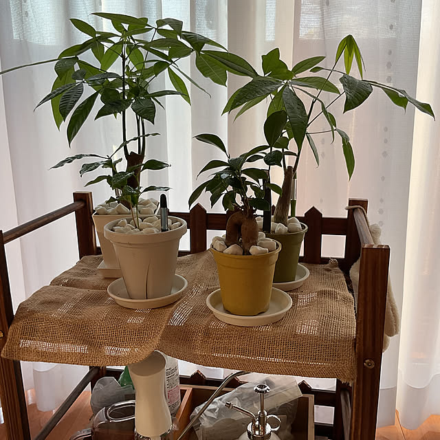 mogumoguさんの実例写真