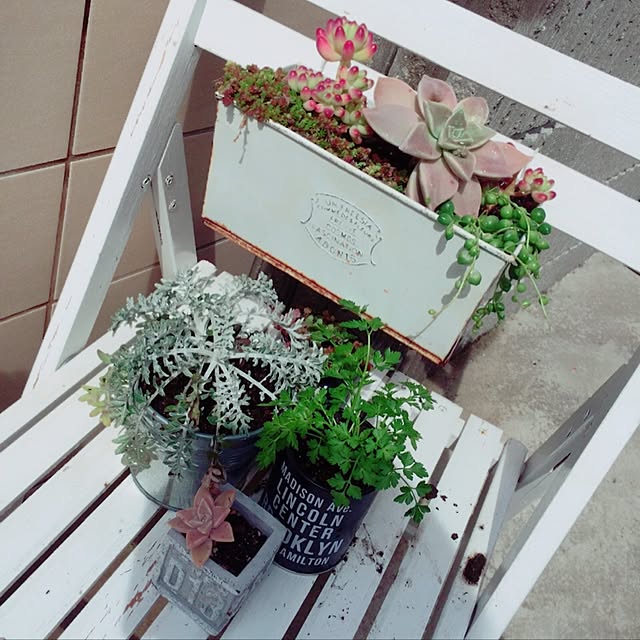 yumirinrinさんの実例写真