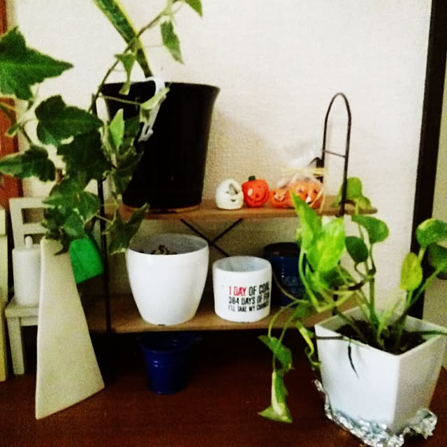 vixx0402さんの実例写真