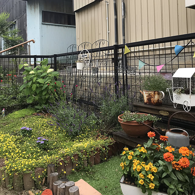 chiekawa63さんの実例写真