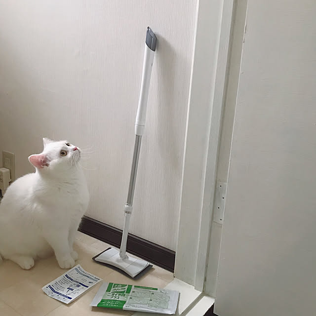 kotoriさんの実例写真