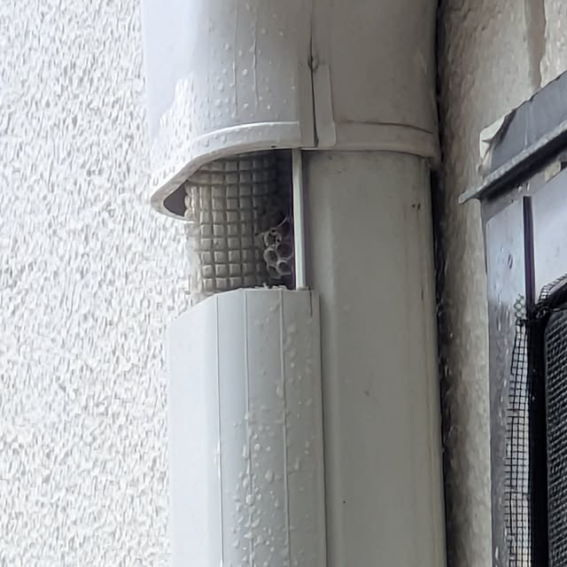 asaさんの部屋