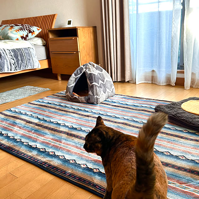cocoさんの部屋