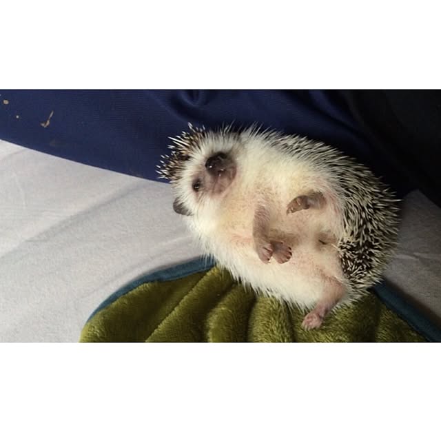 ctaさんの実例写真