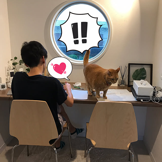 minakoさんの実例写真
