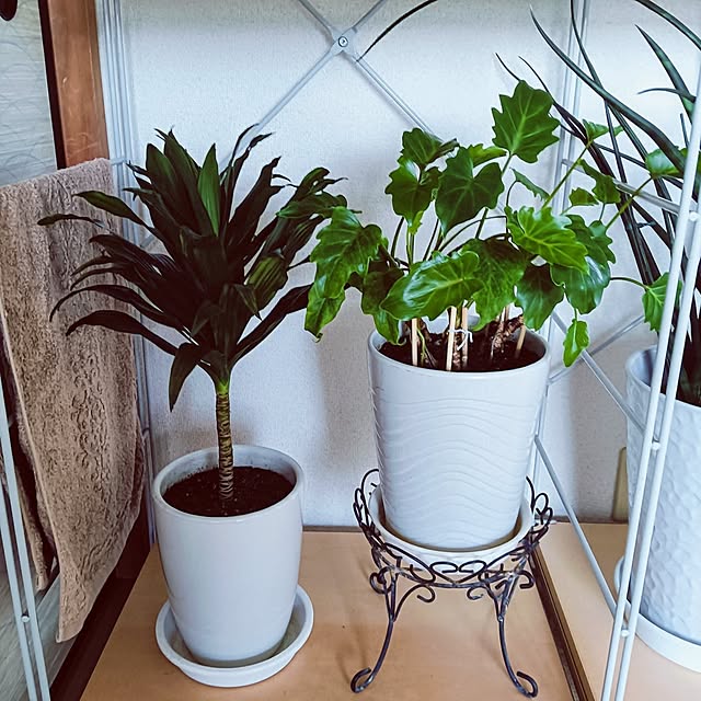 hanachanさんの部屋