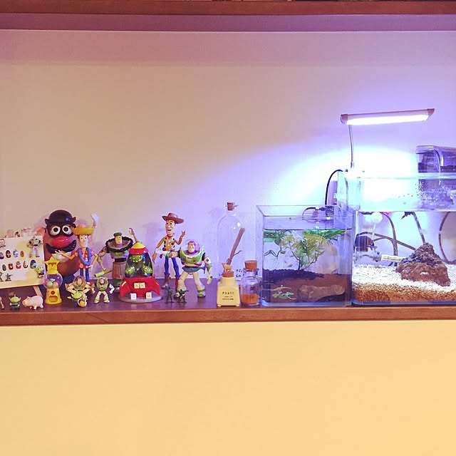 toymini2さんの実例写真