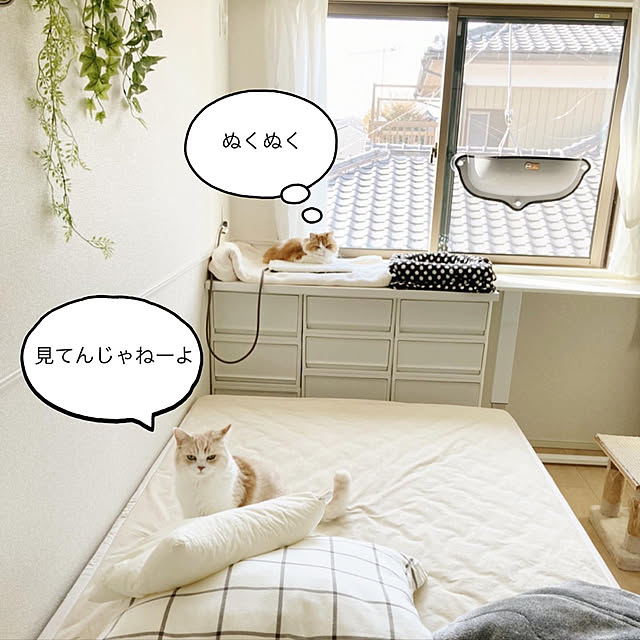 H.Tさんの実例写真