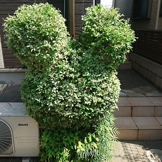 namikisk9さんの実例写真