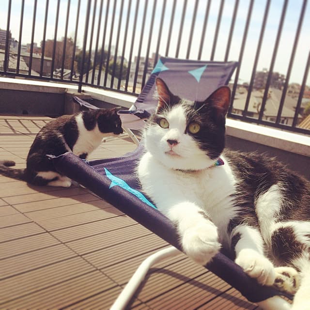 tocciさんの実例写真