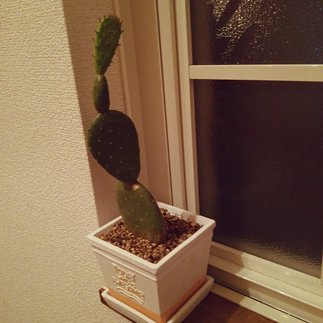 maitakekoさんの実例写真