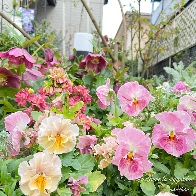 na-chanさんの実例写真