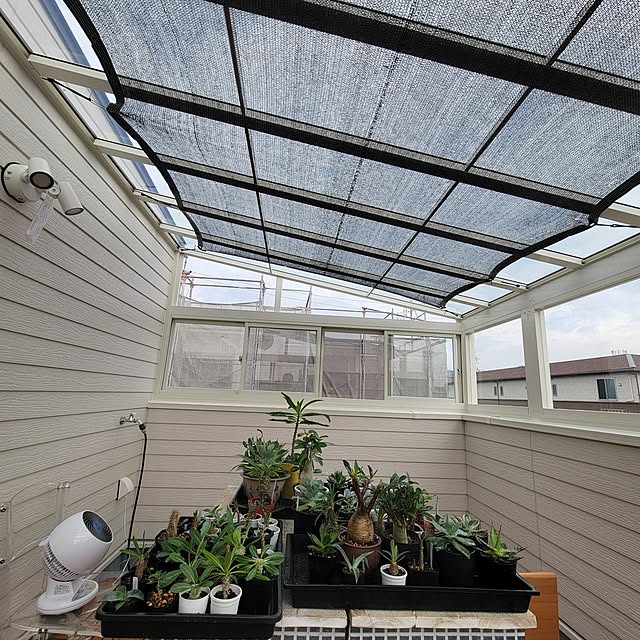 nonbiri_house_さんの部屋