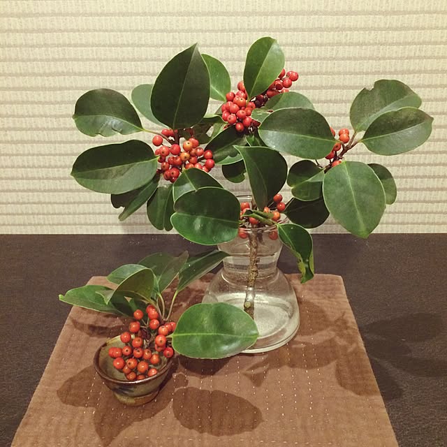玄関/入り口/観葉植物のインテリア実例 - 2016-11-15 19:30:23