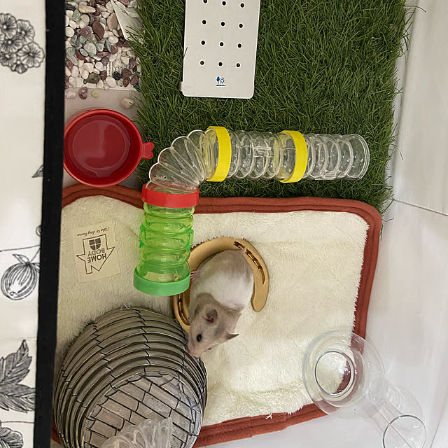 hiroさんの実例写真