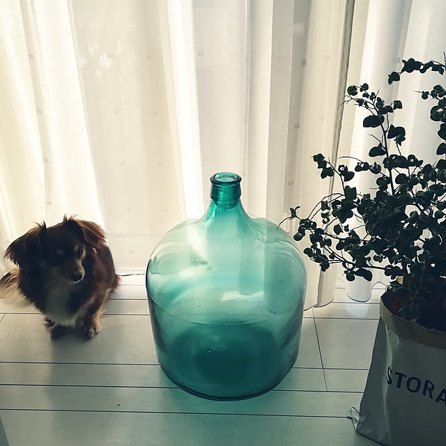 rikakoさんの実例写真