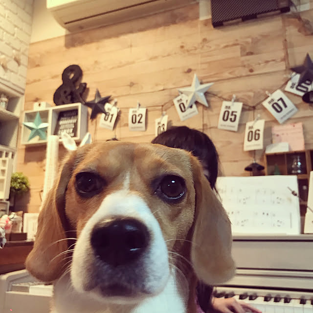 lovekuma_emilyさんの実例写真
