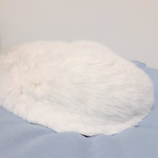 siroさんの実例写真