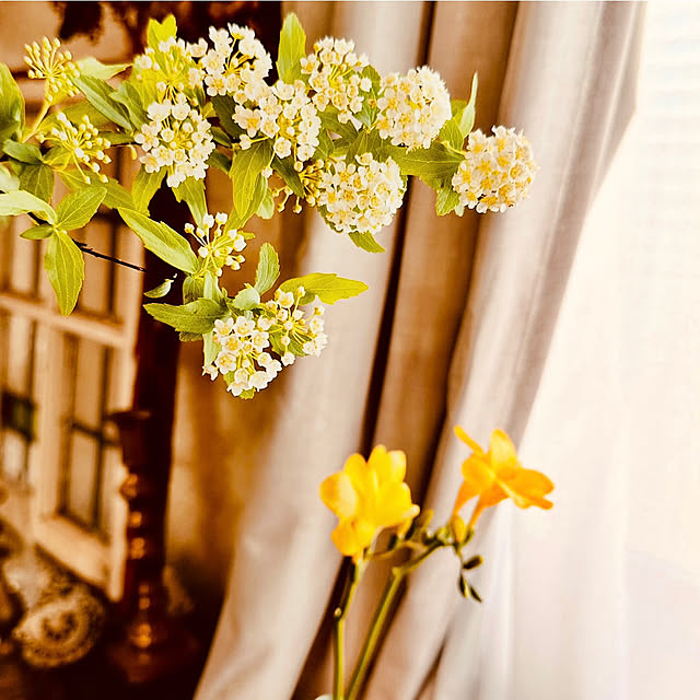 megmilkさんの実例写真