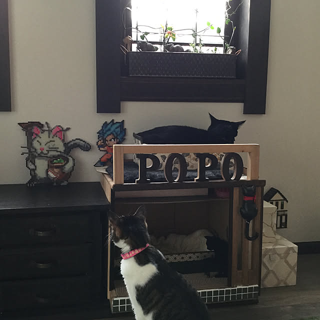 popoさんの実例写真