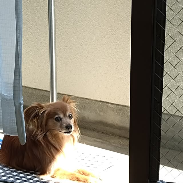 toratanさんの部屋
