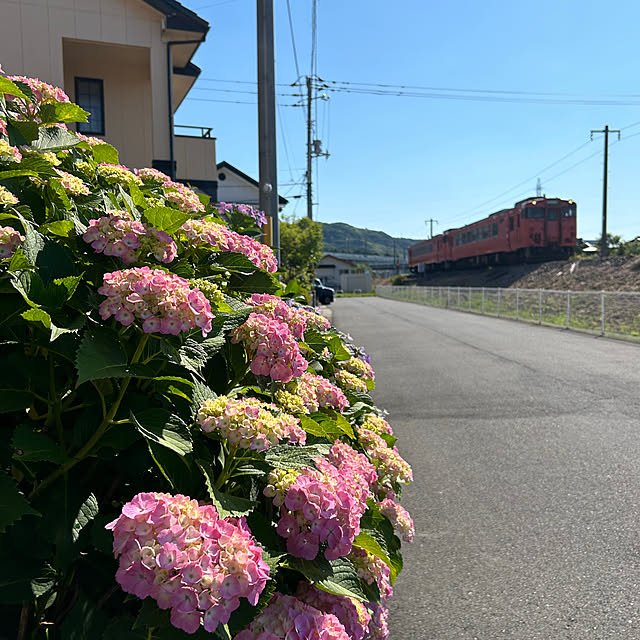ritsukoさんの部屋