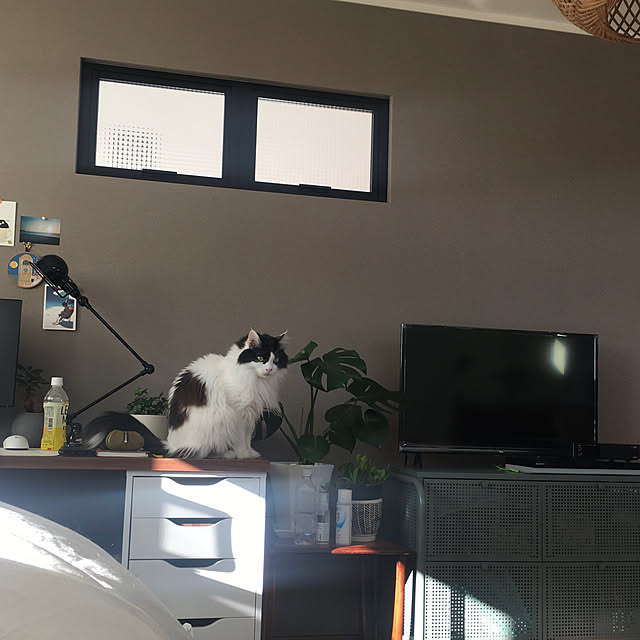 HNMBさんの実例写真