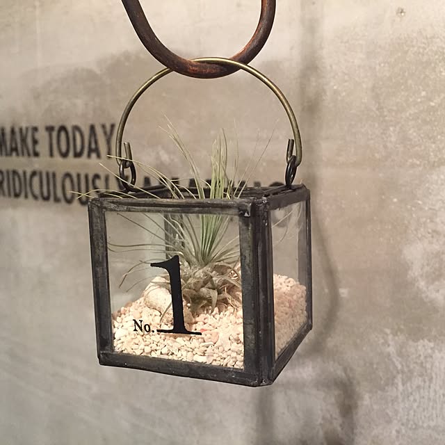 ichiさんの実例写真