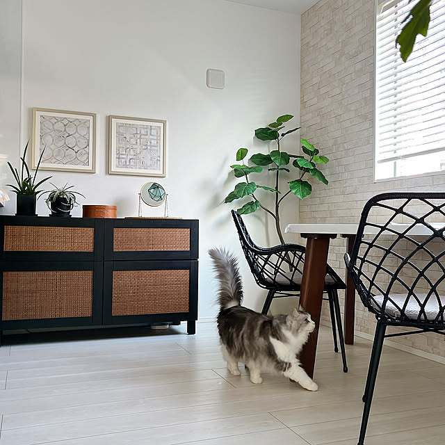 cotoriさんの部屋