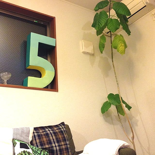yukihouseさんの実例写真