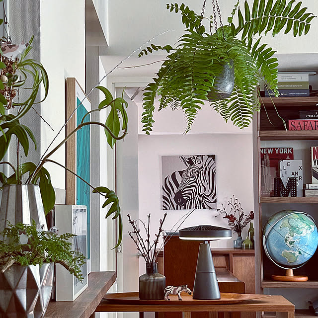 DAYONEさんの実例写真