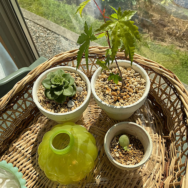 chiiyanさんの部屋