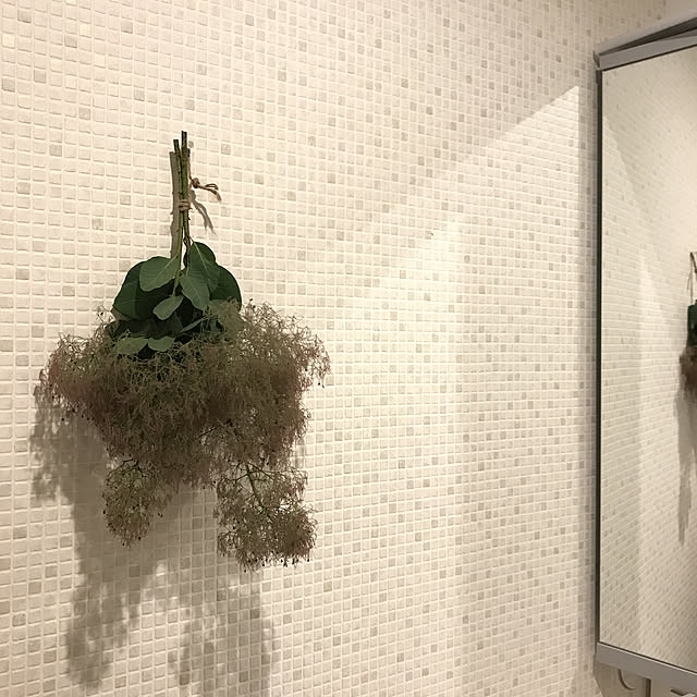 Ayumiさんの実例写真