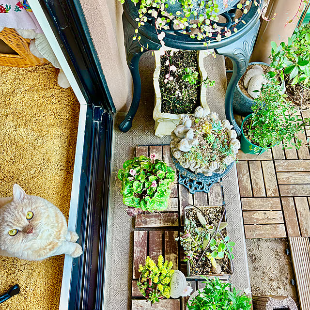 naokoさんの部屋