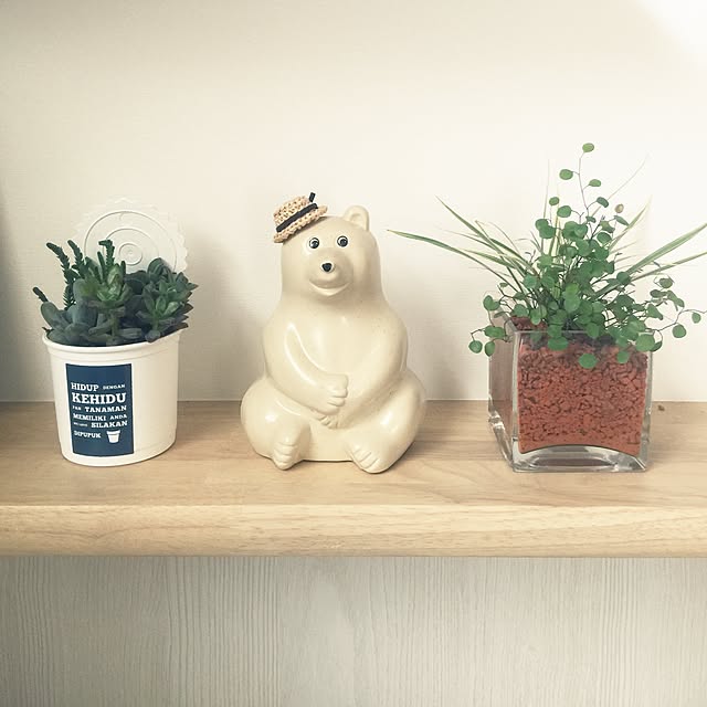 puchisyuhuさんの実例写真