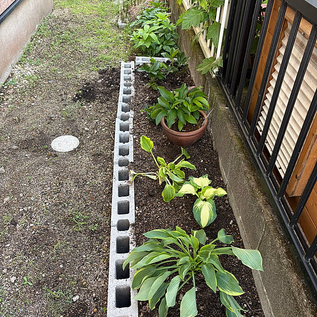 ritsukoさんの部屋