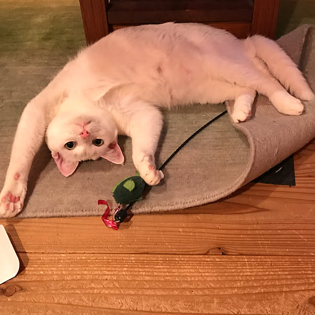 sakurasakuさんの実例写真