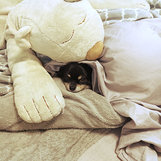 cocoさんの実例写真