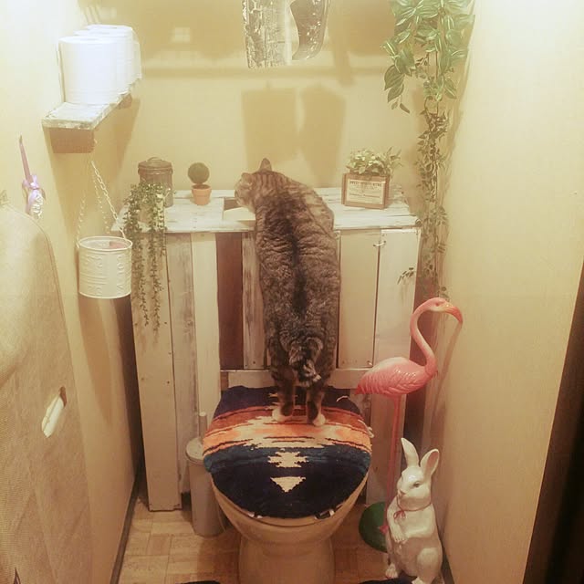 annさんの実例写真