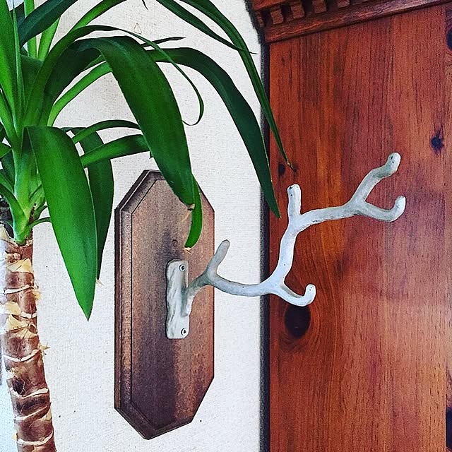 0505さんの実例写真