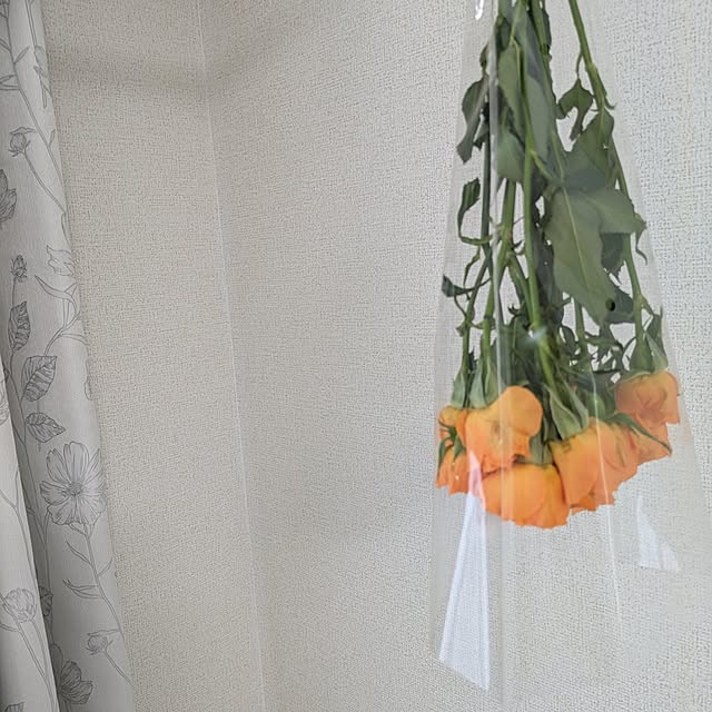 minnieさんの部屋