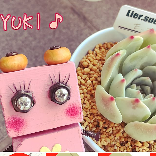 Yukiさんの実例写真